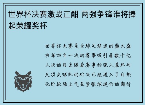 世界杯决赛激战正酣 两强争锋谁将捧起荣耀奖杯
